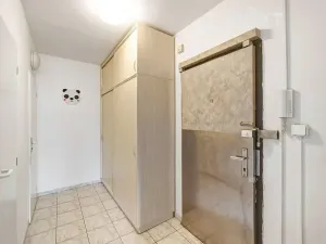 Prodej bytu 2+1, Praha - Žižkov, Habrová, 46 m2