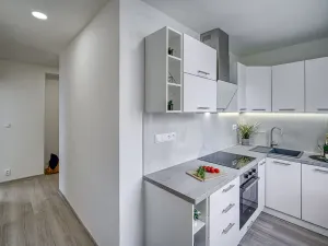 Pronájem bytu 2+1, Most, Čs. mládeže, 51 m2