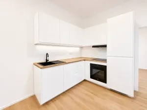 Prodej bytu 2+kk, Praha - Žižkov, Hartigova, 39 m2