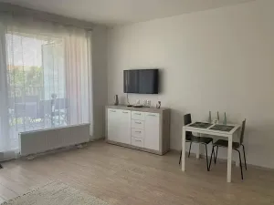 Pronájem bytu 1+kk, Praha - Dejvice, Lindleyova, 36 m2