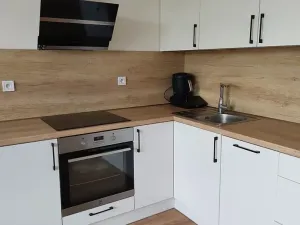 Pronájem bytu 1+kk, Brno, Wágnerova, 35 m2