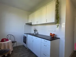 Prodej bytu 2+1, Brno, Souběžná, 55 m2