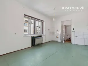 Prodej bytu 2+kk, Praha - Žižkov, Hartigova, 49 m2