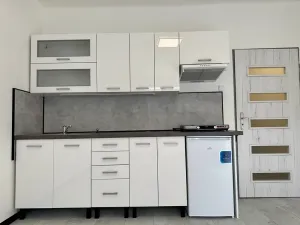 Pronájem bytu 1+kk, Příbram, Ve Dvoře, 24 m2