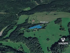 Prodej podílu lesa, Valašská Senice, 4990 m2