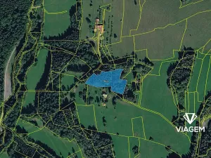 Prodej podílu lesa, Valašská Senice, 4990 m2