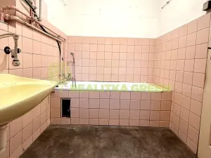 Prodej bytu 3+1, Bystřice pod Hostýnem, Bělidla, 79 m2