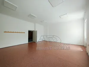 Pronájem kanceláře, České Budějovice, Kanovnická, 210 m2