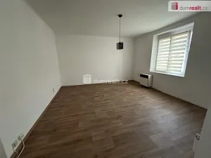 Pronájem bytu 1+1, Plzeň, Sladkovského, 44 m2