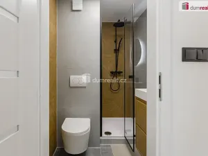 Prodej bytu 2+1, Sokolov, Mánesova, 61 m2