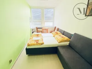 Prodej apartmánu, Přední Výtoň, 423 m2