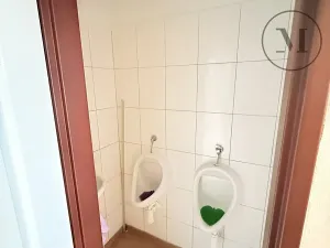 Prodej apartmánu, Přední Výtoň, 423 m2