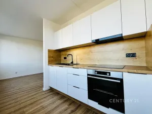 Pronájem bytu 3+1, Most, Javorová, 68 m2