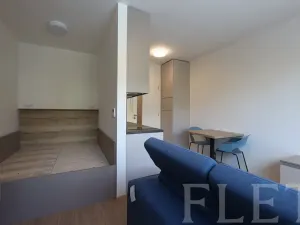 Pronájem bytu 1+kk, Praha - Holešovice, V háji, 30 m2