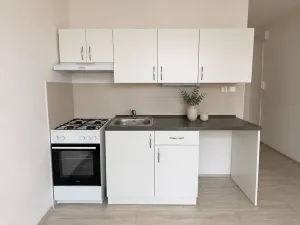 Pronájem bytu 1+1, Litvínov, Rooseveltova, 37 m2