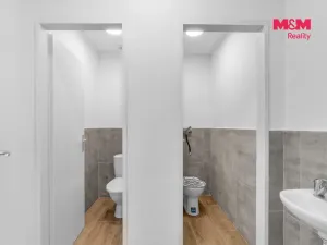 Pronájem výrobních prostor, Nová Paka, Přibyslavská, 225 m2