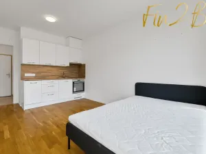 Pronájem bytu 1+kk, Praha - Libeň, Františka Kadlece, 24 m2