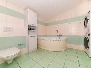 Prodej rodinného domu, Plzeň, Pod Radyní, 303 m2