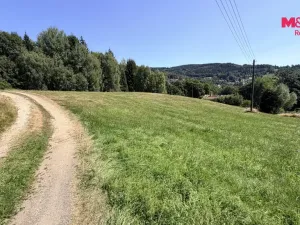 Prodej pozemku pro bydlení, Tanvald - Žďár, 2000 m2