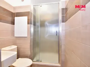 Pronájem bytu 1+1, Děčín - Děčín III-Staré Město, Rakovnická, 36 m2