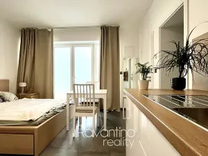 Pronájem bytu 1+kk, Brno, Vzhledná, 21 m2