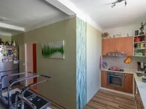 Prodej bytu 2+1, Prostějov, Hanačka, 78 m2