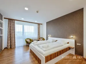 Prodej bytu 1+kk, Frymburk, 30 m2