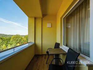 Prodej bytu 1+kk, Frymburk, 30 m2