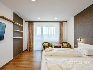 Prodej apartmánu, Frymburk, 30 m2