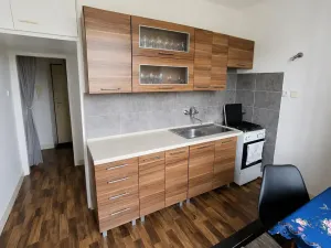 Pronájem bytu 2+1, Lovosice, Sady pionýrů, 56 m2