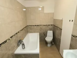 Pronájem bytu 1+kk, Ústí nad Labem, Londýnská, 52 m2