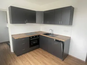 Pronájem bytu 2+1, Roudnice nad Labem, Hornická, 53 m2