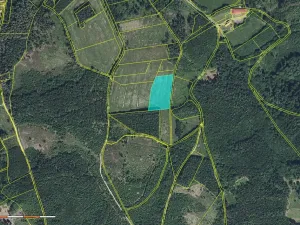 Prodej podílu louky, Vlastiboř, 3222 m2
