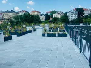 Pronájem bytu 1+kk, Praha - Vinohrady, Perucká, 27 m2