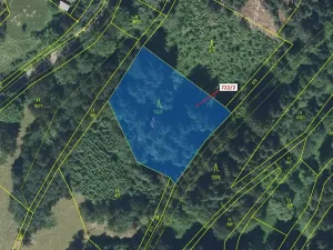 Dražba lesa, Zlatá Olešnice, 2620 m2