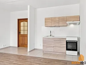 Pronájem bytu 1+kk, Ústí nad Labem, Spartakiádní, 31 m2