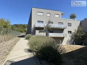 Pronájem bytu 1+kk, Brno, Pastviny, 58 m2