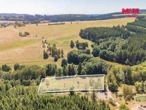Prodej louky, Bezdružice - Řešín, 8235 m2