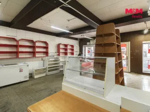 Prodej obchodního prostoru, Paskov, Náměstí, 205 m2