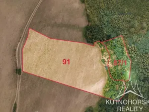 Prodej komerčního pozemku, Pertoltice, 51001 m2