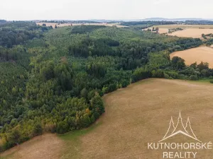 Prodej komerčního pozemku, Pertoltice, 51001 m2