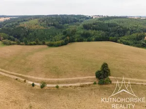 Prodej komerčního pozemku, Pertoltice, 51001 m2