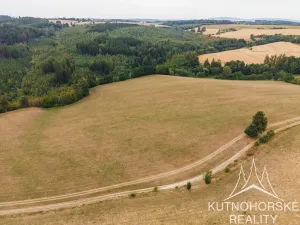 Prodej komerčního pozemku, Pertoltice, 51001 m2