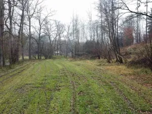 Dražba louky, Světlá nad Sázavou, 8621 m2