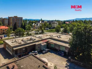 Prodej obchodního prostoru, Český Těšín, Slezská, 900 m2
