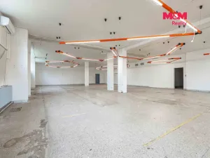 Prodej obchodního prostoru, Český Těšín, Slezská, 900 m2