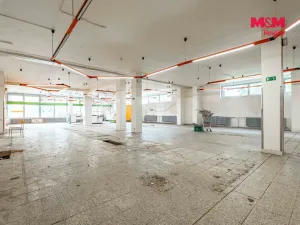 Prodej obchodního prostoru, Český Těšín, Slezská, 900 m2