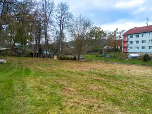 Prodej pozemku pro bydlení, Staré Město pod Landštejnem, 1025 m2
