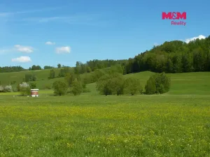 Prodej louky, Náchod, 13200 m2