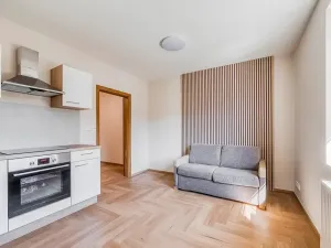 Pronájem bytu 1+kk, Mariánské Lázně, třída Vítězství, 22 m2